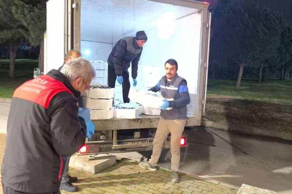 Bursa&rsquo;da yaklaşık bir ton balığa el konuldu