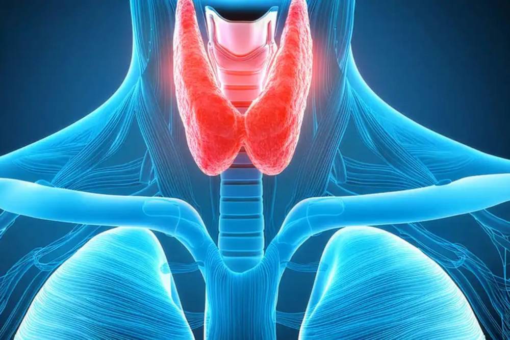 Uzm. Dr. Kaplan: Tiroid hastalıklarında erken tanı hayati &ouml;nem taşıyor