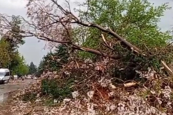 Gaziantep'te 'Süper Hücre' ile Yaşanan Felaket Nedir?