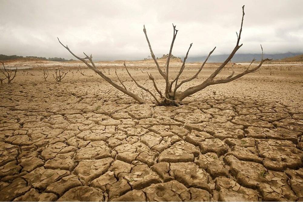 G&uuml;ney Afrika kuraklığı ve su kıtlığını ulusal afet olarak sınıflandırdı