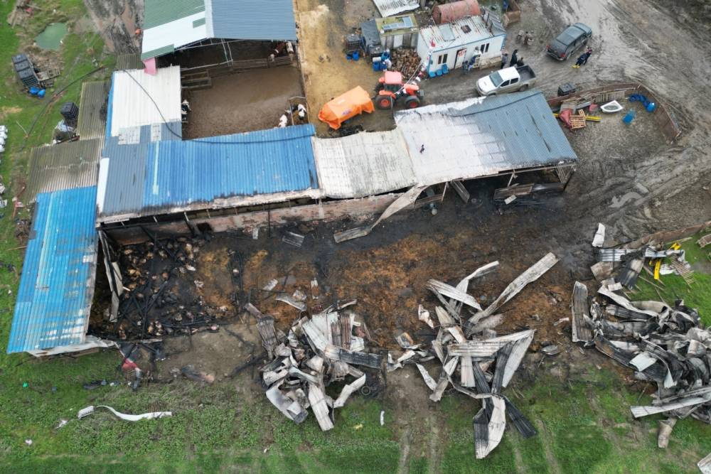 Tekirdağ&rsquo;da &ccedil;iftlik yangını: 60 k&uuml;&ccedil;&uuml;kbaş telef oldu