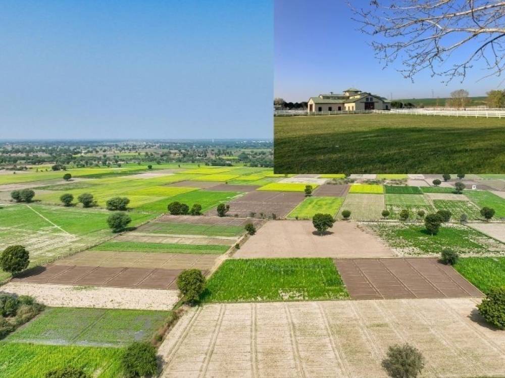 Tarım Arazilerinde Kaçak Yapılar Yıkılacak mı? İşte Yeni Yönetmelik!