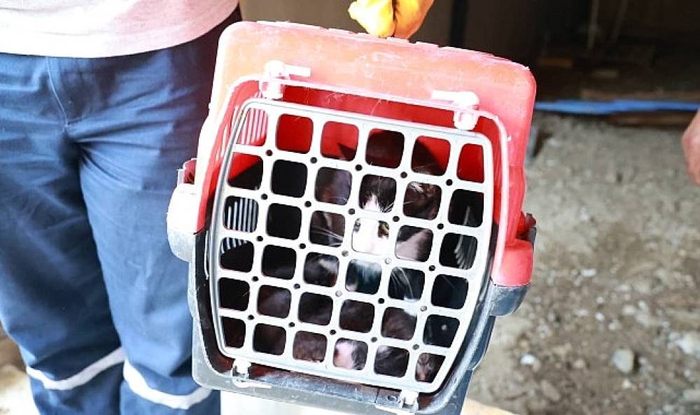 Ka&ccedil;ak Bina Yıkımında Hayat Kurtaran M&uuml;dahale