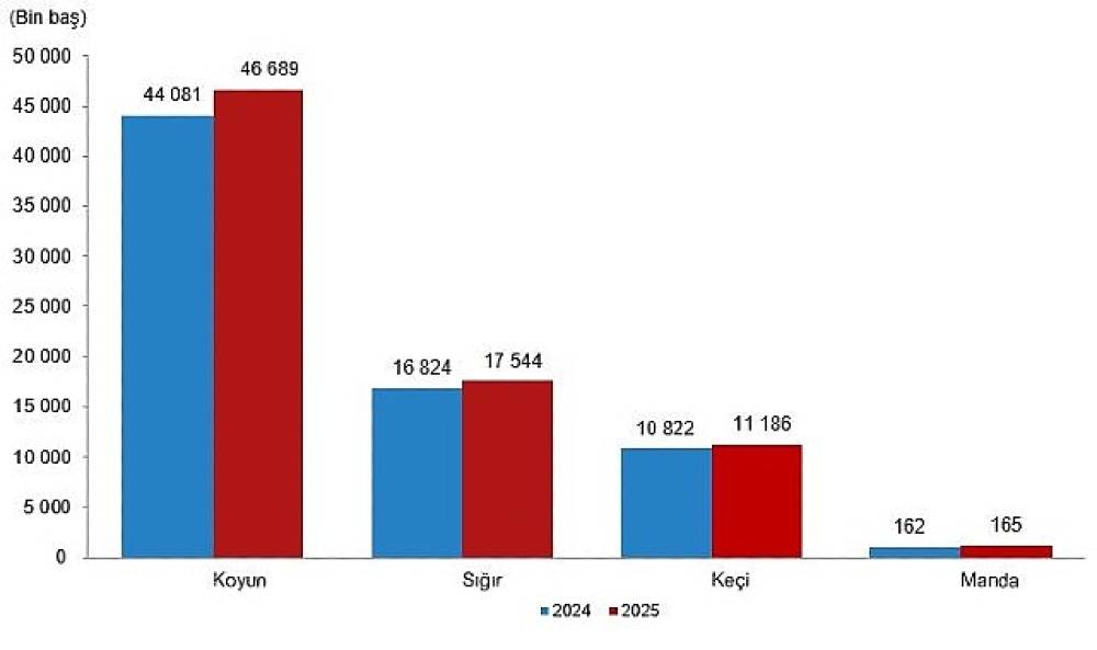 Hayvansal &Uuml;retim İstatistikleri, 2025