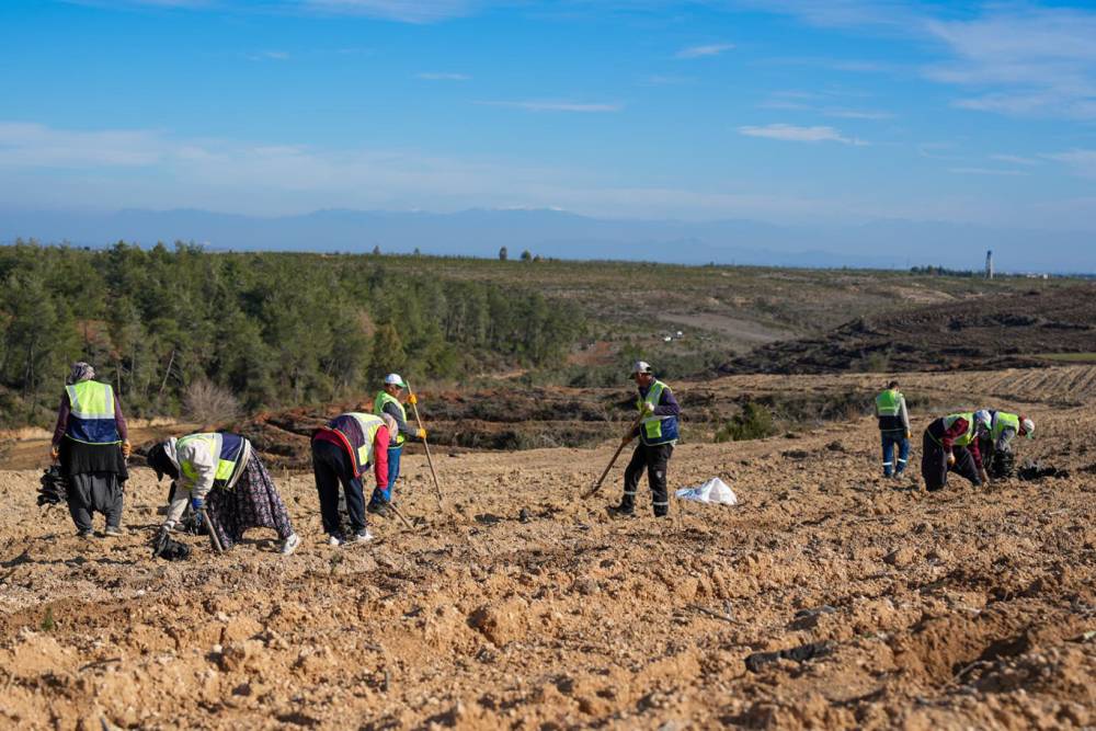 Adana&rsquo;da 1,2 milyon fidan toprakla buluşturuldu