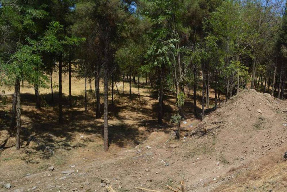 Elazığ&rsquo;da ormanlık alanlara girişler 30 Eyl&uuml;l&rsquo;e kadar yasaklandı