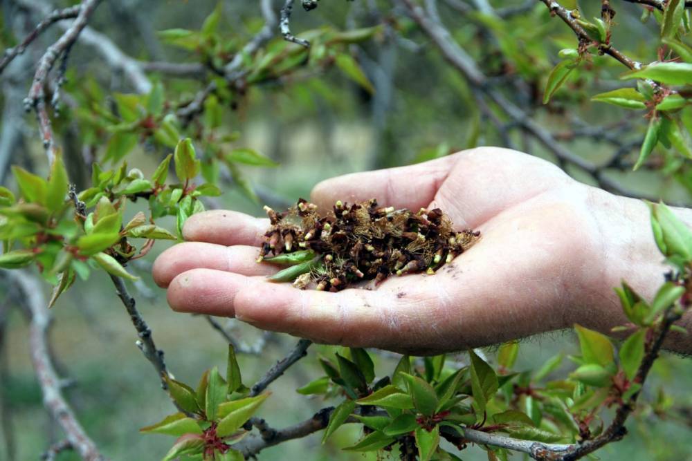 TARSİM, çiftçiyi ve sigorta üretim kanallarını mağdur ediyor 