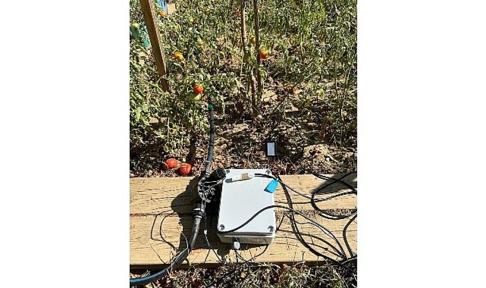 BİLGİ'li öğrencilerden sürdürülebilir tarıma katkı: Elektronik Kontrollü Damla Sulama Sistemi