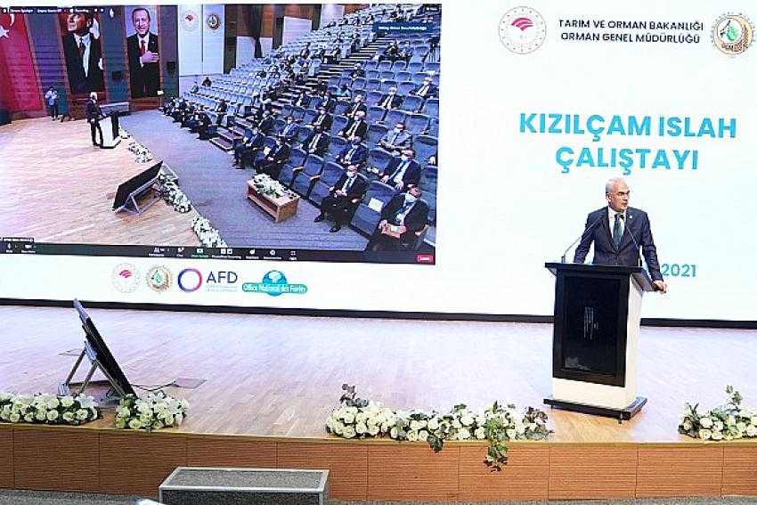 Kızılçam Milli Islah Stratejisi oluşturulacak.