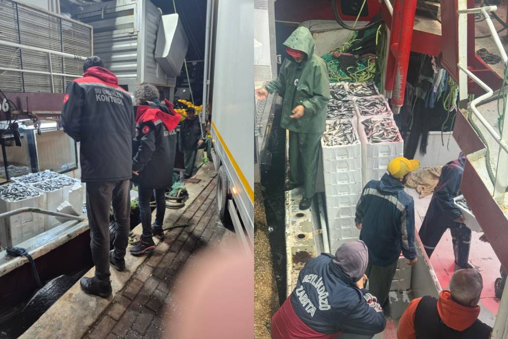 İzmir&rsquo;de denetimlerde 516 kilogram balığa el konuldu