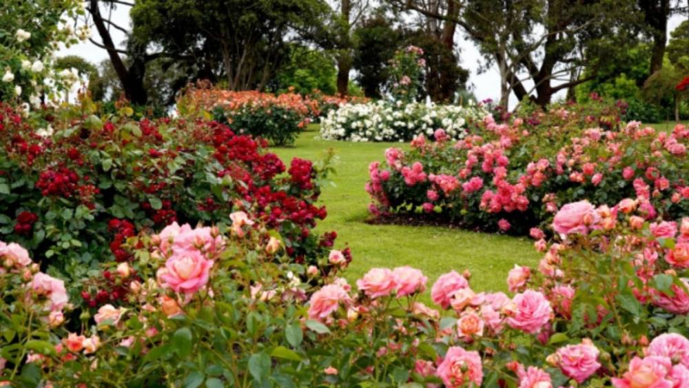 Yılbaşı hareketliliği &ccedil;i&ccedil;ek sekt&ouml;r&uuml;n&uuml; canlandırdı