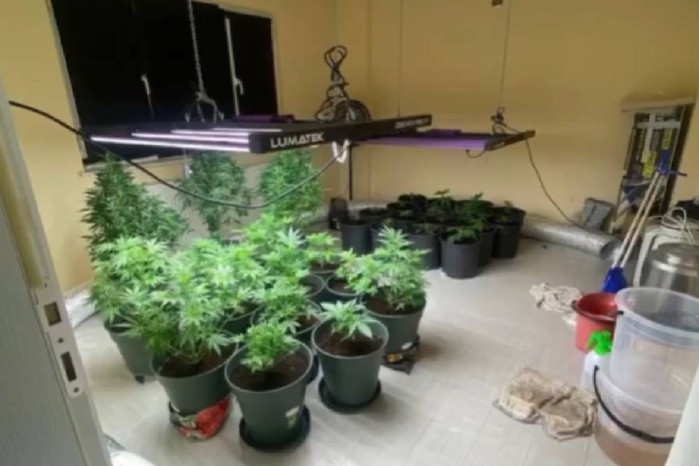 Evde iklimlendirme sistemli uyuşturucu &uuml;retimi