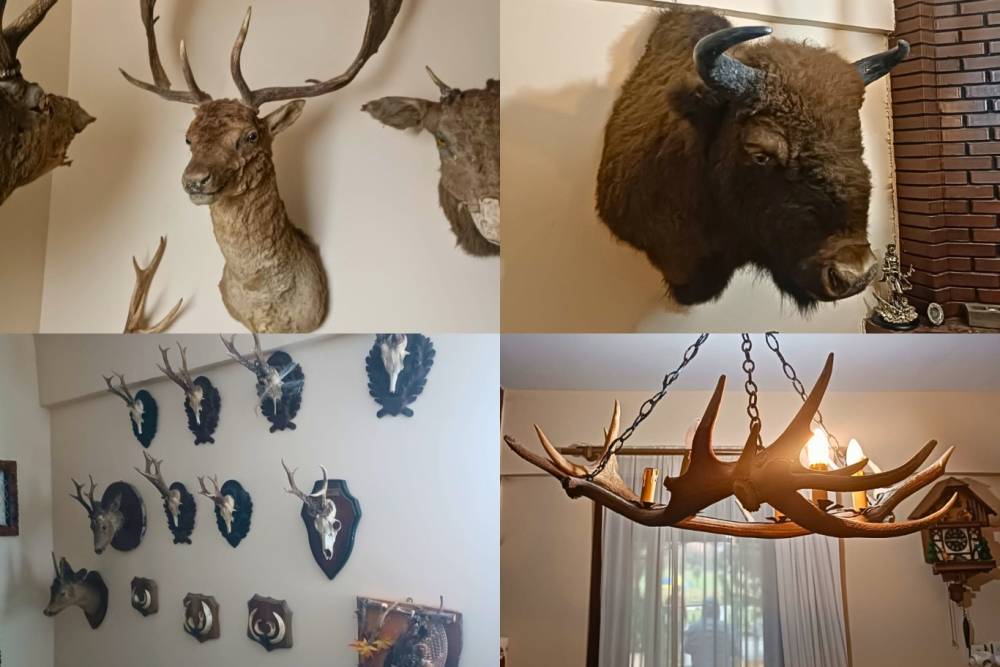 Tekirdağ&rsquo;da 40 par&ccedil;a tahnit ve trofe ele ge&ccedil;irildi