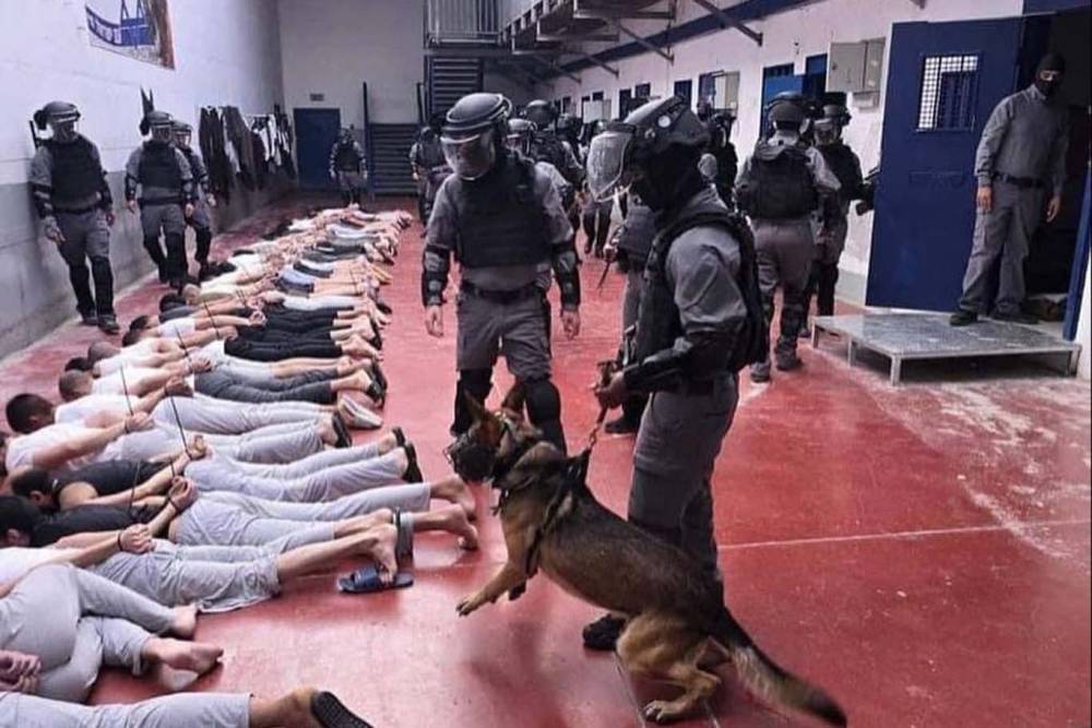 Sde Teiman vahşeti