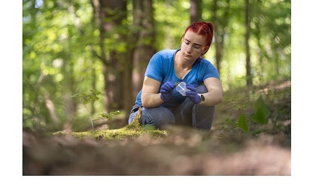 British Council'dan tam burslu y&uuml;ksek lisans fırsatı