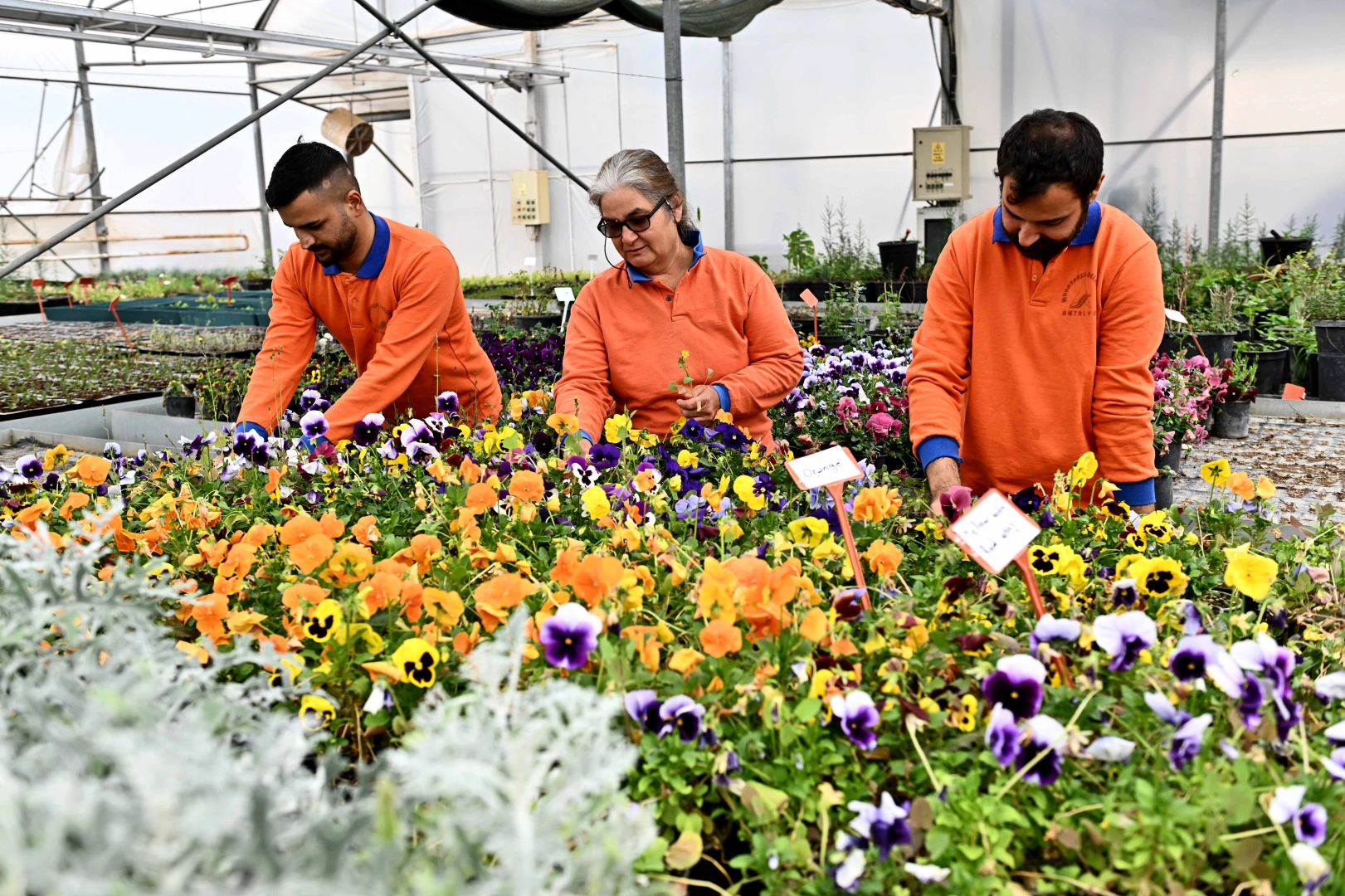 Antalya'nın Yeşil Geleceği: Sürdürülebilir Park Projeleri