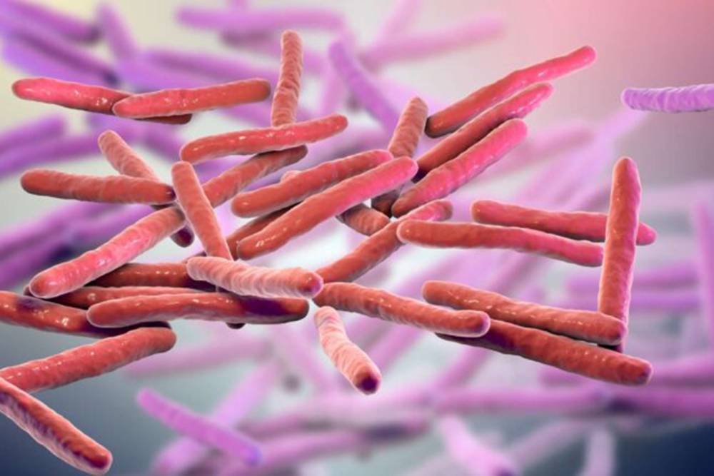 Avrupa c&uuml;zzam vakaları nedeniyle alarmda