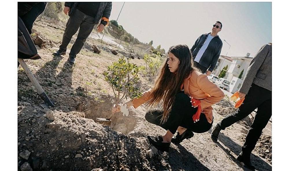 Çeşme'de 411 fidan, binlerce adım, tek bir söz: “İstanbul Sözleşmesi yaşatır