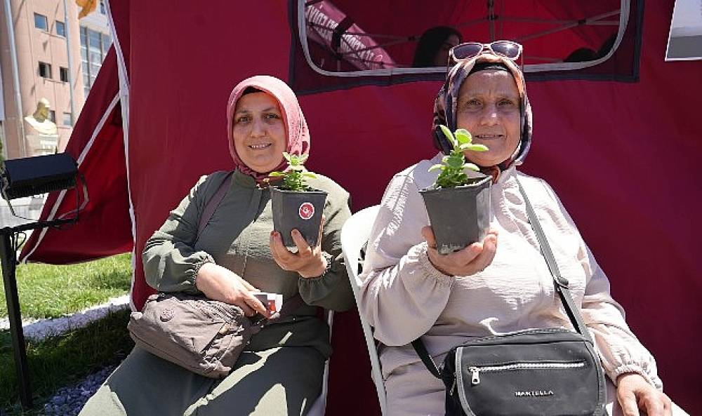 Ke&ccedil;i&ouml;ren'de Uyuşturucuyla M&uuml;cadele G&uuml;n&uuml; Kapsamında Fidan ve Fide Dağıtıldı