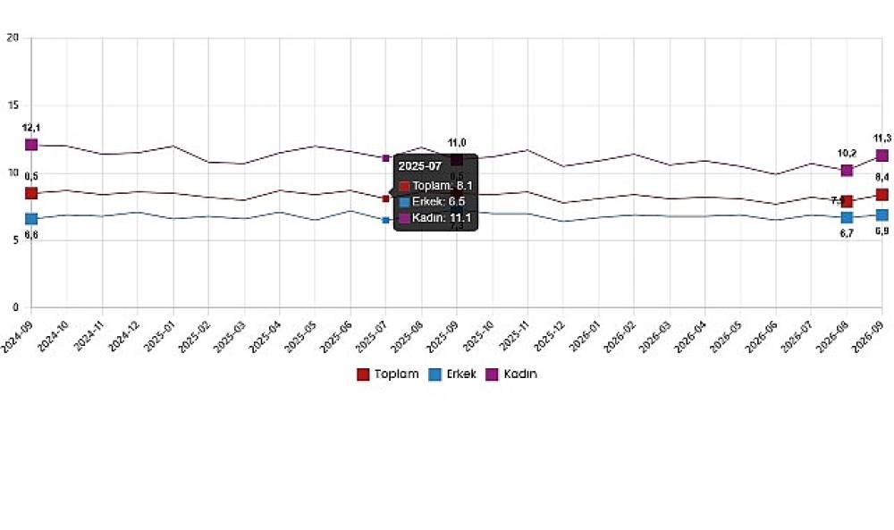 İşg&uuml;c&uuml; İstatistikleri, Eyl&uuml;l 2026