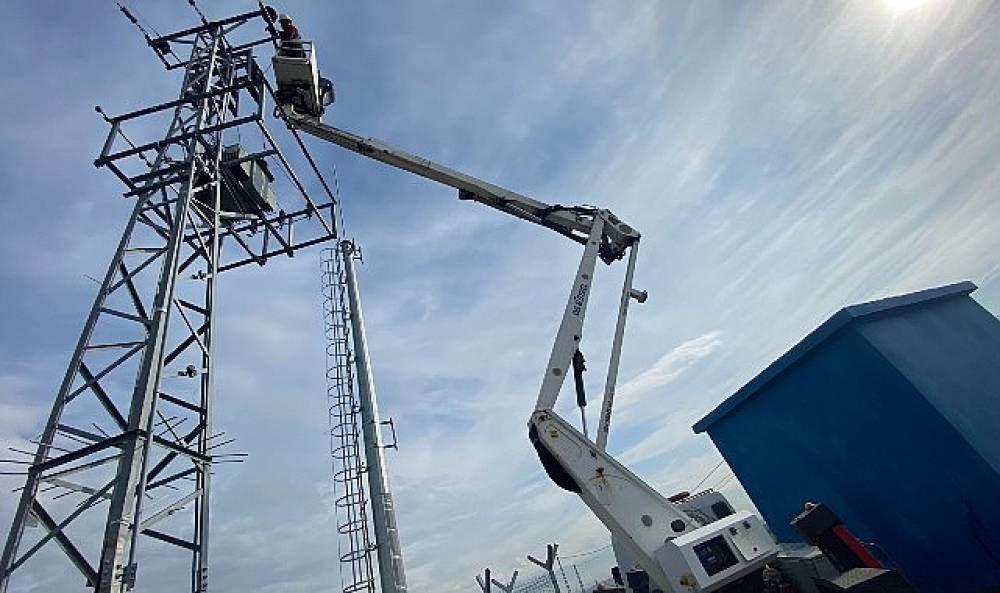 Kuşların Göç Yolculuğu İçin Uluslararası Proje Başlatıldı mı?