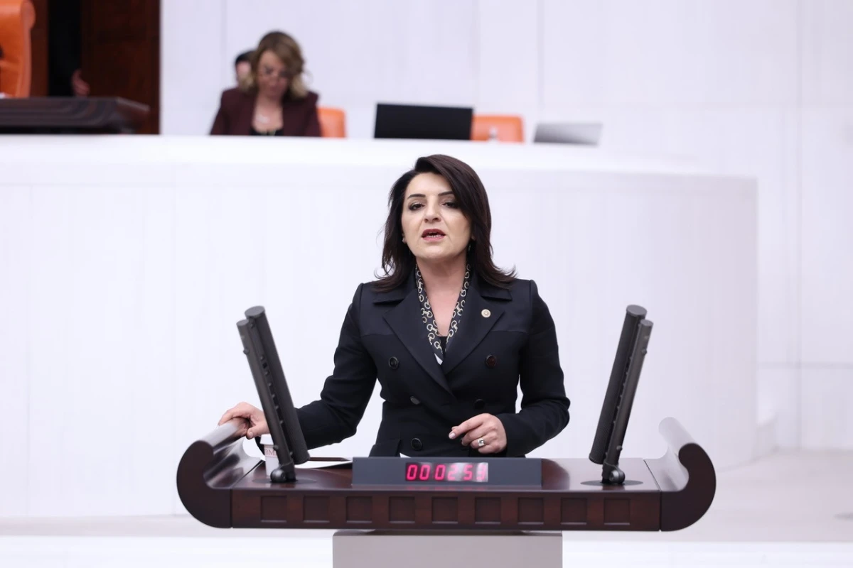 CHP'li Kış:''Büyüyen Ekonomi Değil, Borç!''