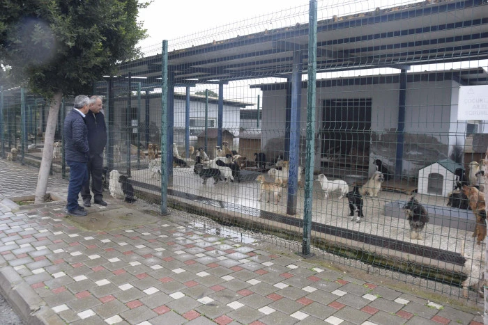 CHP&rsquo;Li Meclis &Uuml;yesi Uğur B&uuml;y&uuml;kkantarcı&rsquo;dan barınak ziyaretti