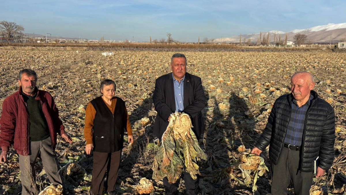 G&uuml;rer: &ldquo;Emek Tarlada Kaldı&rdquo;