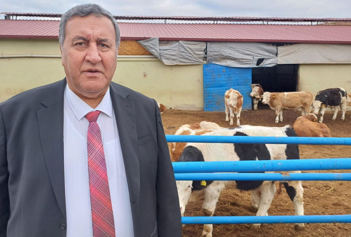 Gürer: “Hayvan'da kendi kendine yeten ülke olmalıyız”