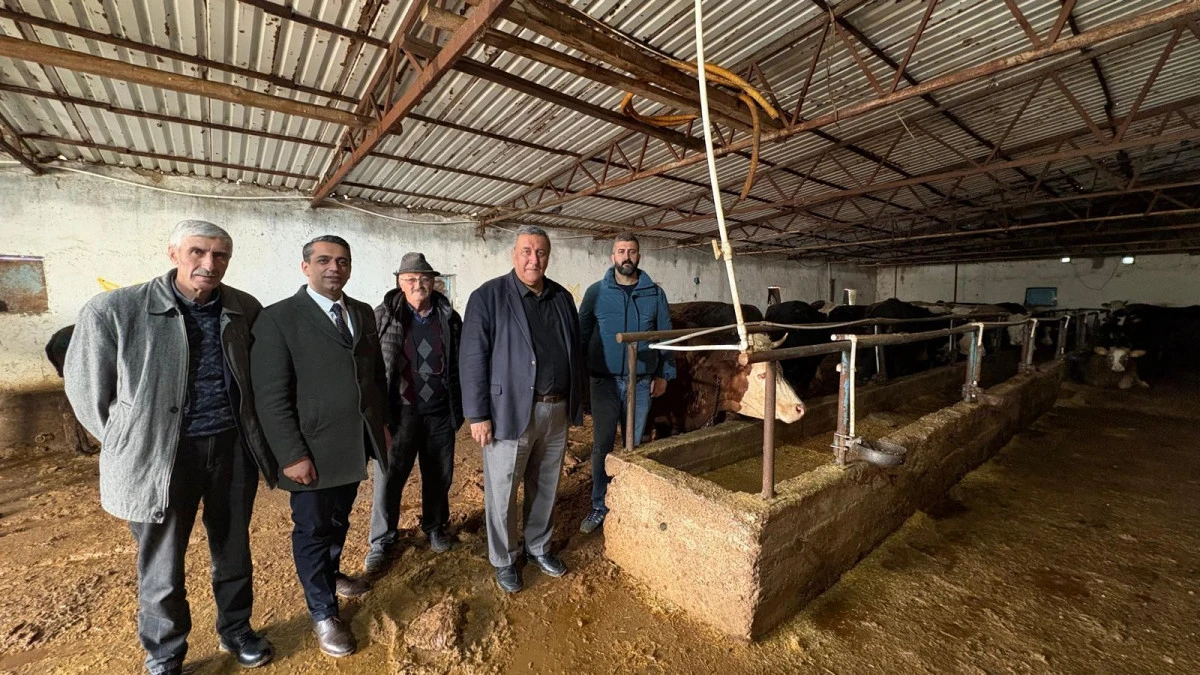 G&uuml;rer: &ldquo;Şap Hastalığı Hayvancılığı Vuruyor!&rdquo;