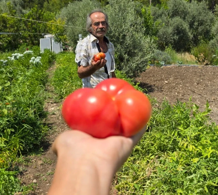 &ldquo;İYİLEŞTİREN SOFRALAR&rdquo; ne yiyoruz diye soruyor