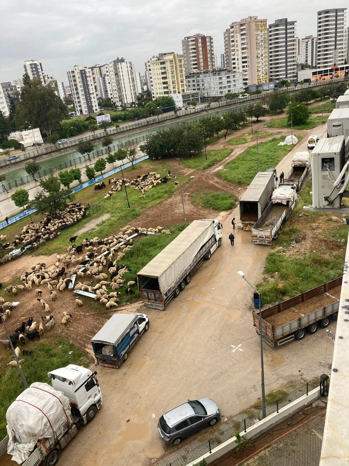 Adana'da Mahalleli İsyanda: Kurban Satışı Neden Kapının Önünde?
