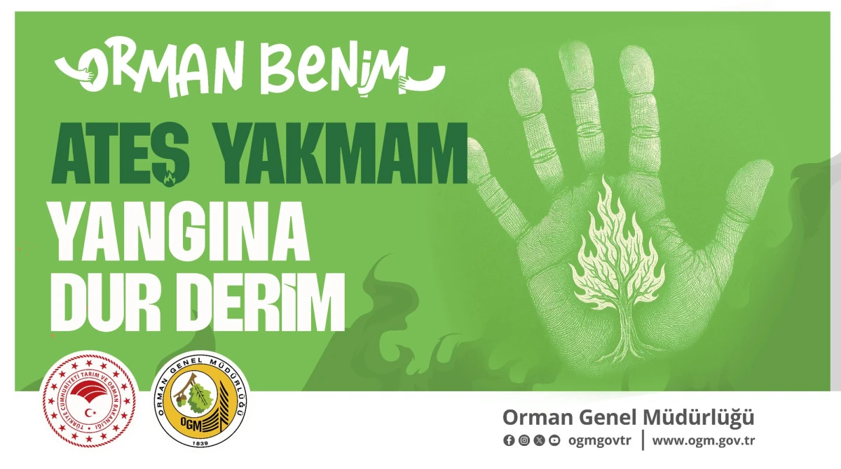 Ormanlara girişler yasaklandı
