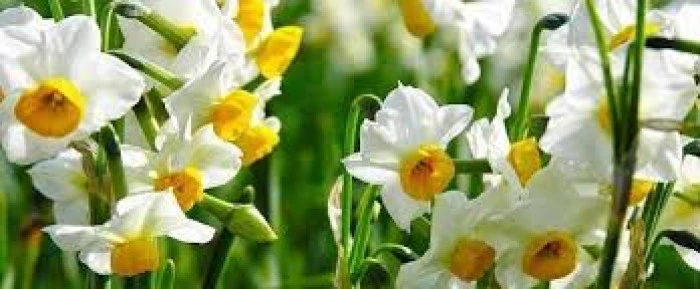 Prontotour'un 2025 Turizm Raporu: Yurt Dışına Akın Başladı mı?