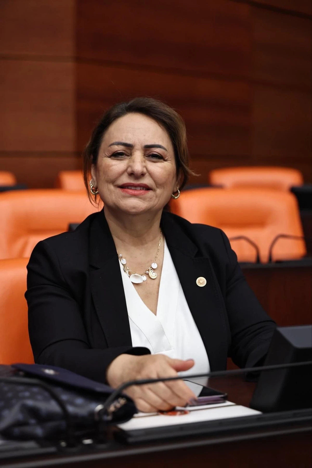 Şevkin:“Usta öğreticilerin sesini duyun!”