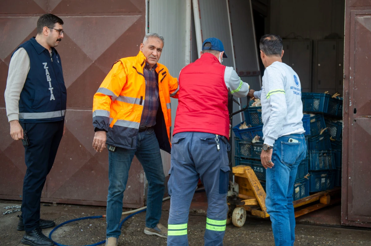Seyhan Zabıtadan Depo Baskını: Yüzlerce ölü tavuk ele geçirildi