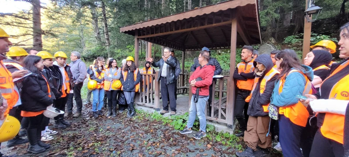 TÜRKİYE’NİN SİGORTASI: KIZILÇAM ORMANLARI
